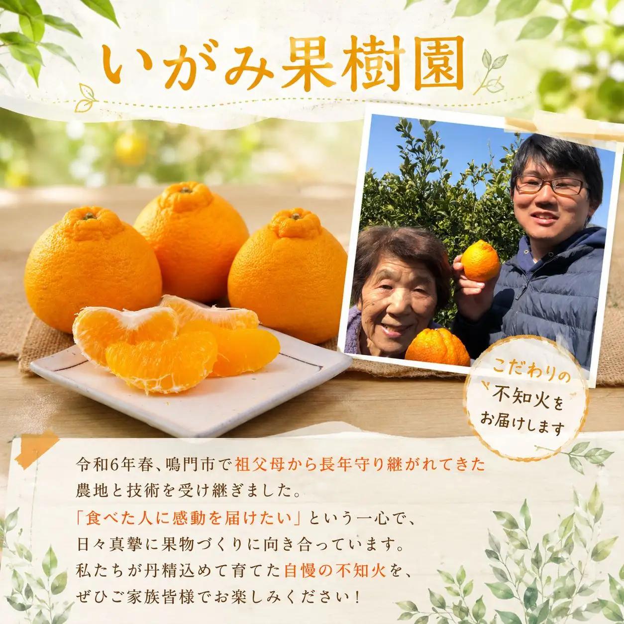 不知火 約5kg みかん しらぬい デコポン 秀品 