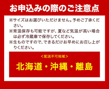 和歌山産 ミニトマト アイコトマト 約2kg SまたはMサイズ サイズおまかせ 厳選館 【配送不可地域あり】《2024年5月上旬-6月中旬頃出荷》 和歌山県 日高川町 トマト とまと アイコトマト 送