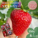 【ふるさと納税】KISAI GARDEN うずしおベリー 250g×4パック 【数量限定】 | 栽培期間中農薬不使用 苺 いちご イチゴ 紅ほっぺ 徳島 鳴門 果物 フルーツ スムージー ジャム