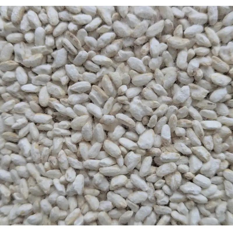 玄米乾燥麹 300g ふるさと納税 玄米 米麹 米 麹 発酵食品