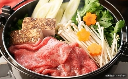 【 定期便6回 】 神戸牛霜降り ロース しゃぶしゃぶ すき焼き 600g × 1パック 和牛 旨味 食感 鍋料理 詰合せ お肉 ニク 肉 にく 牛肉 牛 霜降り 定期 定期便