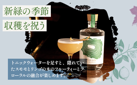 IWAI GIN 500ml×3本| Gn5-3-2｜酒 お酒 アルコール ジン 蒸留酒 ボタニカル スピリッツ 家飲み 宅飲み お土産 おみやげ 信州 長野県 野沢温泉村