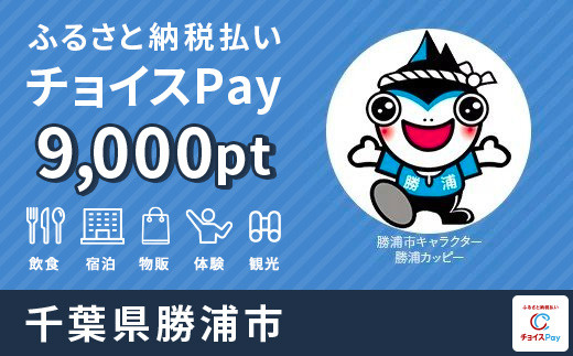 宿泊・食事・観光・遊びに使える！勝浦市 電子感謝券券 9,000ポイント【会員限定のお礼の品】