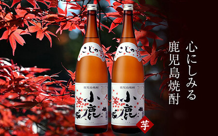 1349 芋焼酎 『小鹿』 一升瓶 2本 KN021-011-01 財宝 ふるさと納税 鹿児島 鹿屋市 おすすめ ランキング プレゼント ギフト