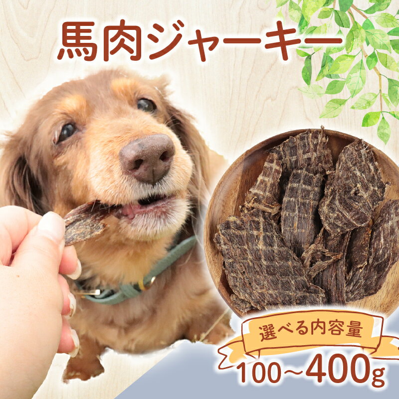 【ふるさと納税】 ドッグフード 馬肉ジャーキー 選べる容量 100g～400g 馬肉 ドックフード ジャーキー ペット おやつ ペット用品 犬用 無添加 無着色 国内製造 安心 安全 自然食品 ケーティーコモディティ KT 新潟県 新発田市 KT040P