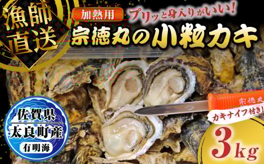 宗徳丸の小粒カキ ３kg 宗徳丸 牡蠣 かき カキ 殻付きカキ 加熱用牡蠣 3kg 有明海 殻付き 生牡蠣  小粒 牡蠣ナイフ  新鮮 貝柱 佐賀県 太良町 OB1