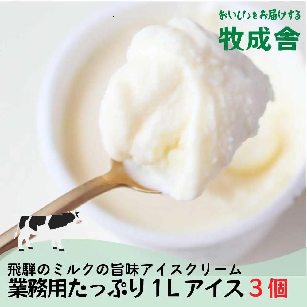 業務用 アイスクリーム 1L×3種 アイス DF007 訳あり