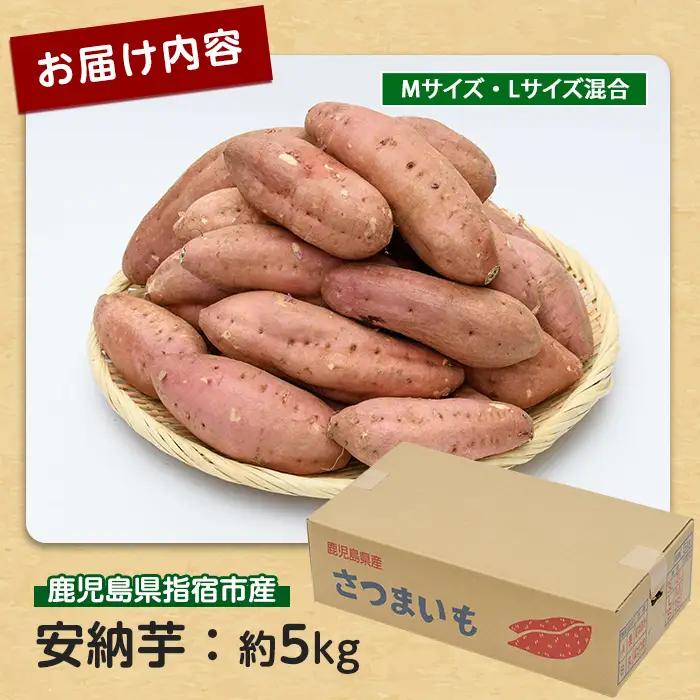 さつまいも 安納いも 約5kg サツマイモ IB084-005