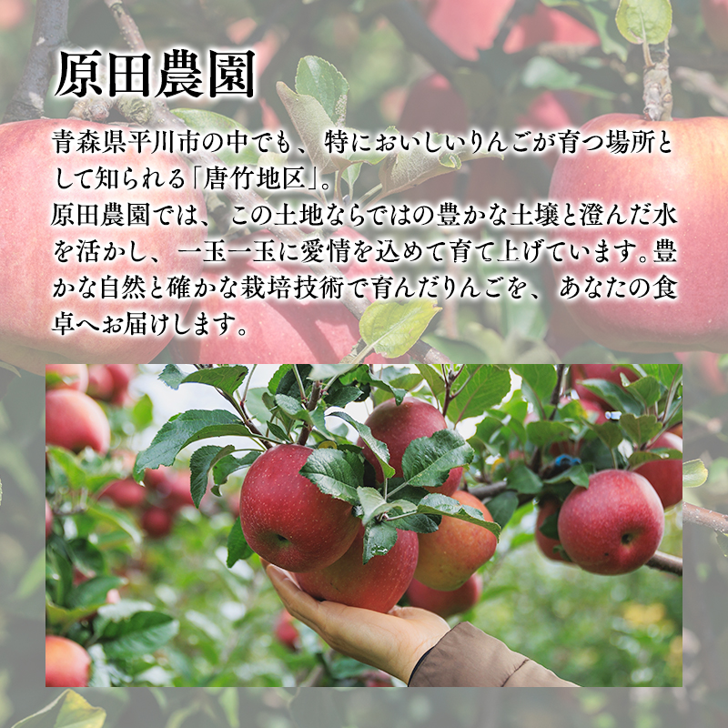 2026年11月～12月発送　【訳あり】家庭用王林 約3kg【原田農園】