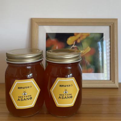 ふるさと納税 瑞浪市 純粋ハチミツ(野山の花500g×1　ソヨゴ500g×1)