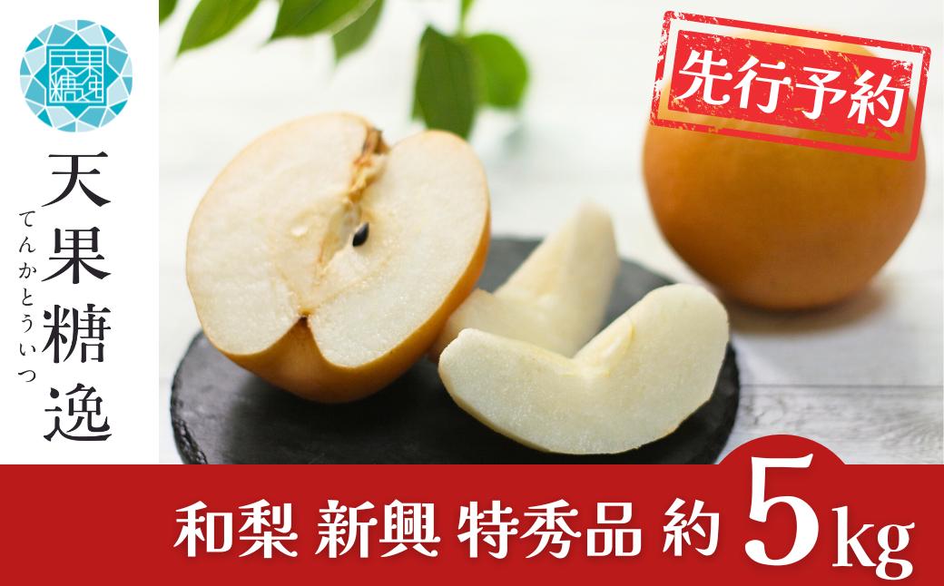 
            [2026年産先行予約] 和梨 新興 特秀品 約5kg 令和8年度 糖度13度以上を厳選 令和8年度 新潟県産 梨 天果糖逸 [JAえちご中越]【013S032】
          