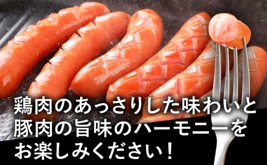 お試し1.0㎏！博多の薫りあらびきウインナー大満足セット