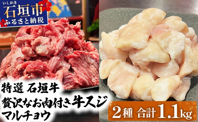 【2025年11月以降順次発送】特選石垣牛の牛スジとマルチョウをご家庭で！！牛スジ500g、マルチョウ300ｇ×2の大容量セット