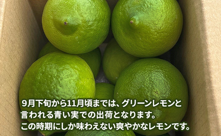 淡路島アレンユーレカレモン1kg 檸檬 れもん  兵庫県 洲本市 淡路島