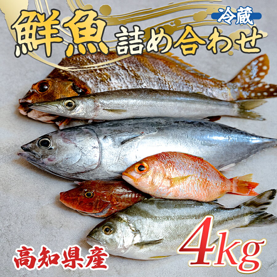 【ふるさと納税】高知県産 鮮魚 詰め合わせ便 4kg 谷鮮魚食堂 内臓処理済み 産地直送 生魚 | 海鮮 セット 刺身 刺し身 煮付け カツオのたたき 詰合せ 食べ比べ グルメ 魚 お取り寄せ ギフト 贈答用 鮮魚セット 鮮魚 詰め合わせ 高知県 海鮮セット 大月町