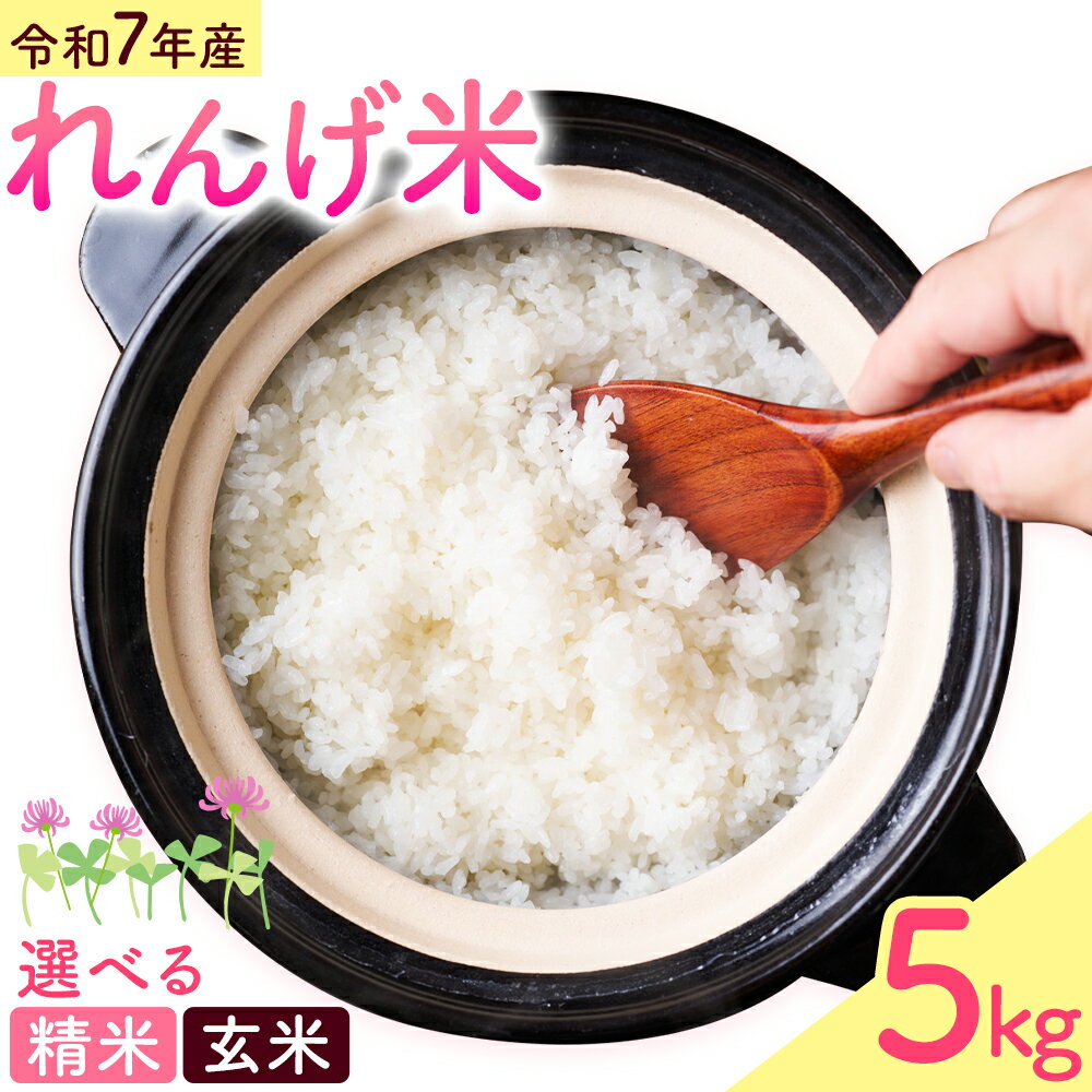 【ふるさと納税】熊本県菊池市産のれんげ米 5kg 《30日以内に出荷予定(土日祝除く)》選べる 精米方法 お米 白米 玄米 精米 レンゲ米 熊本県産 九州産 送料無料