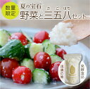 【ふるさと納税】【 先行予約 】 夏の宝石野菜と 三五八 (さごはち) セット 数量限定 おすすめ 野菜 夏野菜 発酵 発酵食品 麹 糀 塩麹 健康 腸活 農家直送 新鮮 ギフト 贈答 ミニトマト 枝豆 福島県 田村市 青柳堂