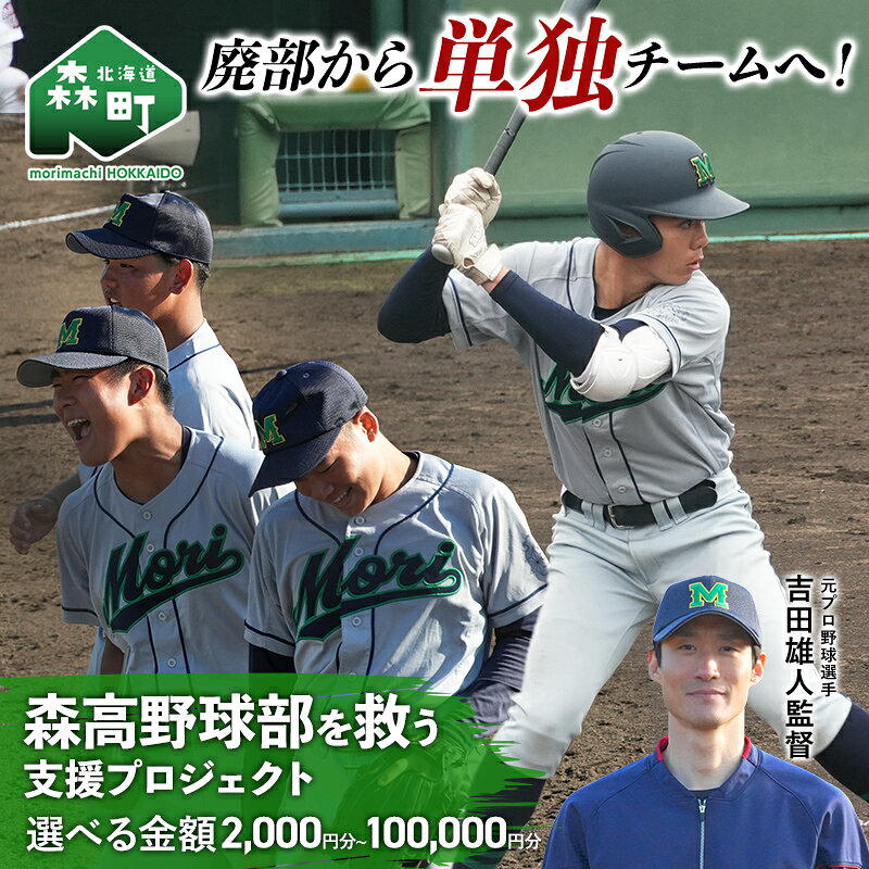 【ふるさと納税】 【返礼品なし】廃部から単独チームへ！森高野球部を救う支援プロジェクト（2,000円～100,000円） ＜北海道森町＞ 北海道 森町 ふるさと 応援 支援 3000円以下 10万円 mr1-1504var