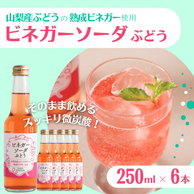 
                  山梨産ぶどう100%の熟成ビネガーで造った!そのまま飲める＜ビネガーソーダぶどう6本セット＞【1537854】
                