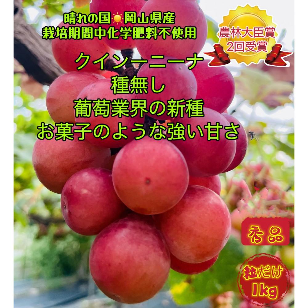 【ふるさと納税】ぶどう2026年 クイーンニーナ 秀品 粒だけ 約1kg 岡山 国産 果物 フルーツ 2026年8月上旬から発送 | フルーツ 果物 くだもの 食品 人気 おすすめ 送料無料