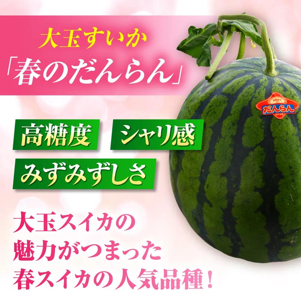 【先行予約】【2027年4月中旬より順次発送】大玉すいか 2玉入（1玉 約7kg） スイカ[AYAB057]