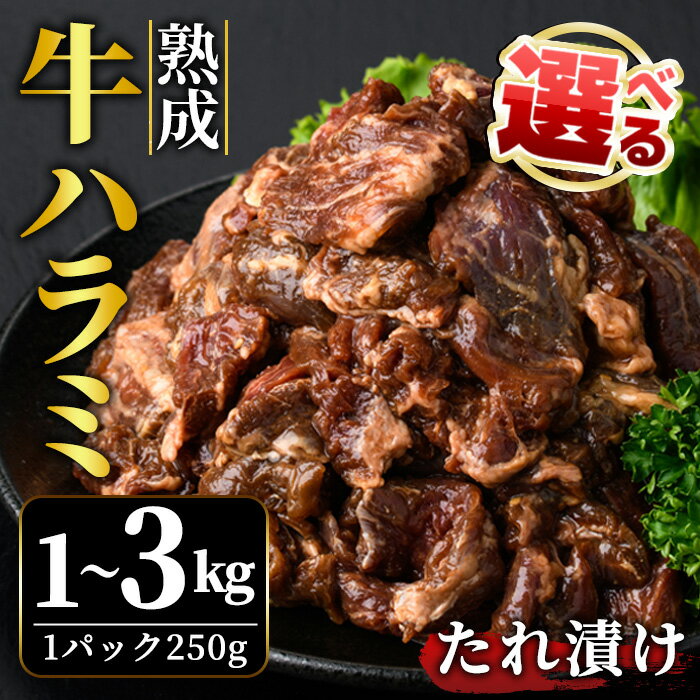 【ふるさと納税】＜選べる＞ 熟成 牛 ハラミ 1kg 2kg 3kg 味付け 味付け肉 小分け 冷凍 焼肉 焼き肉 牛 牛肉 肉 お肉 ビーフ お取り寄せ ご家庭用 ご自宅用 茨城県 【そうざい男しゃく（株式会社池延）】 【ho1468-1】【ho1469】【ho1470】