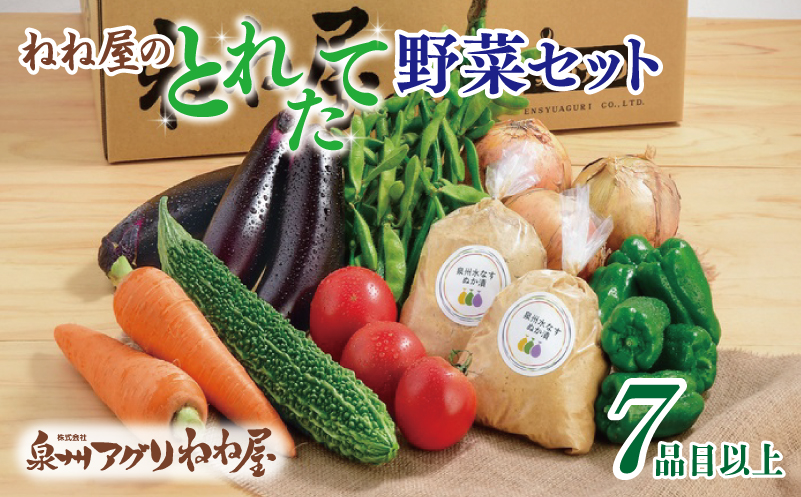 099H2858 ねね屋のとれたて野菜セット 7品目以上 詰め合わせ