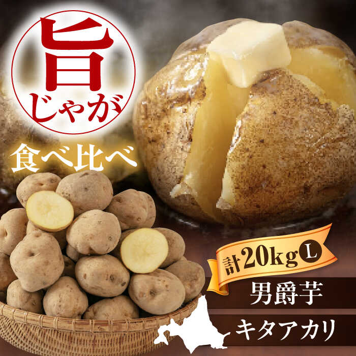 【ふるさと納税】先行予約 新じゃが じゃがいも 食べ比べセット 20kg（ 男爵芋 キタアカリ 各10kg）《喜茂別町》【Aコープようてい】先行予約 ジャガイモ じゃがいも 新じゃが 新じゃがいも セット 季節の野菜 秋野菜 詰め合わせ 北海道 北海道産 [AJAK014] 15000 15000円