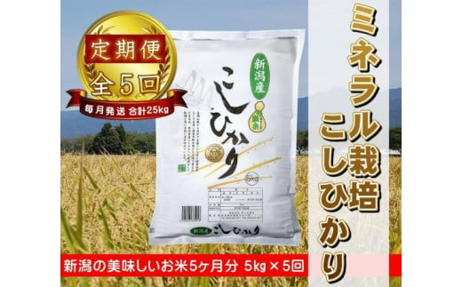 
            【新米】5ヶ月定期便 ミネラル栽培こしひかり 5kg×5回 計25kg 白米 精米 井上米穀店 1I02055
          