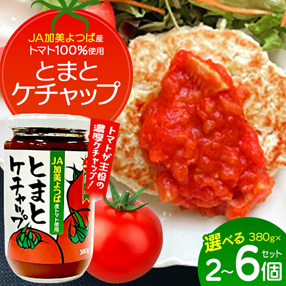【ふるさと納税】トマトが主役の濃厚ケチャップ　とまとケチャップ　380g×2個／380g×3個／380g×6個　【04444-0022～24】 けちゃっぷ トマトケチャップ 調味料 ナポリタン 完熟トマト 食品 グルメ ギフト 贈り物 人気 送料無料 宮城県 色麻町