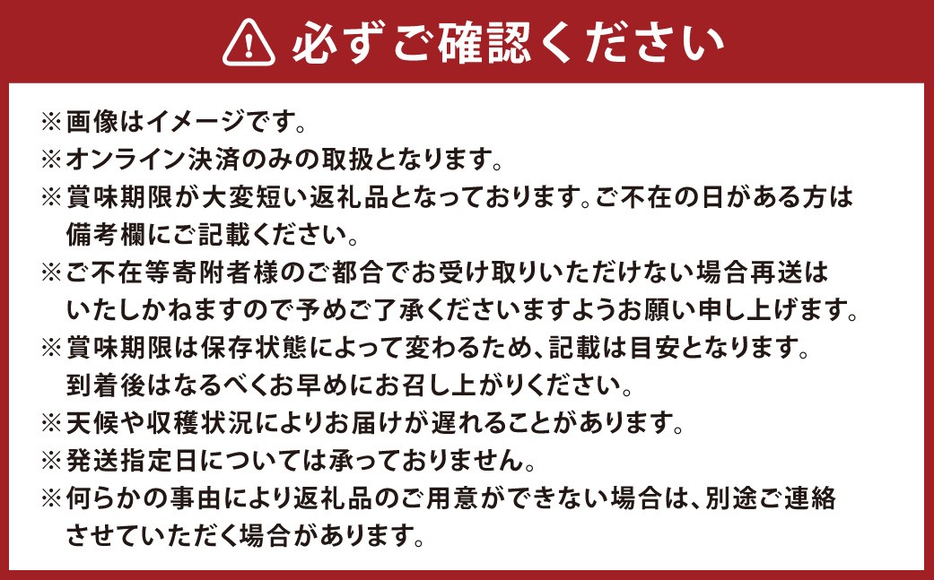木熟ぶどうハレノシャインシャインマスカット晴王