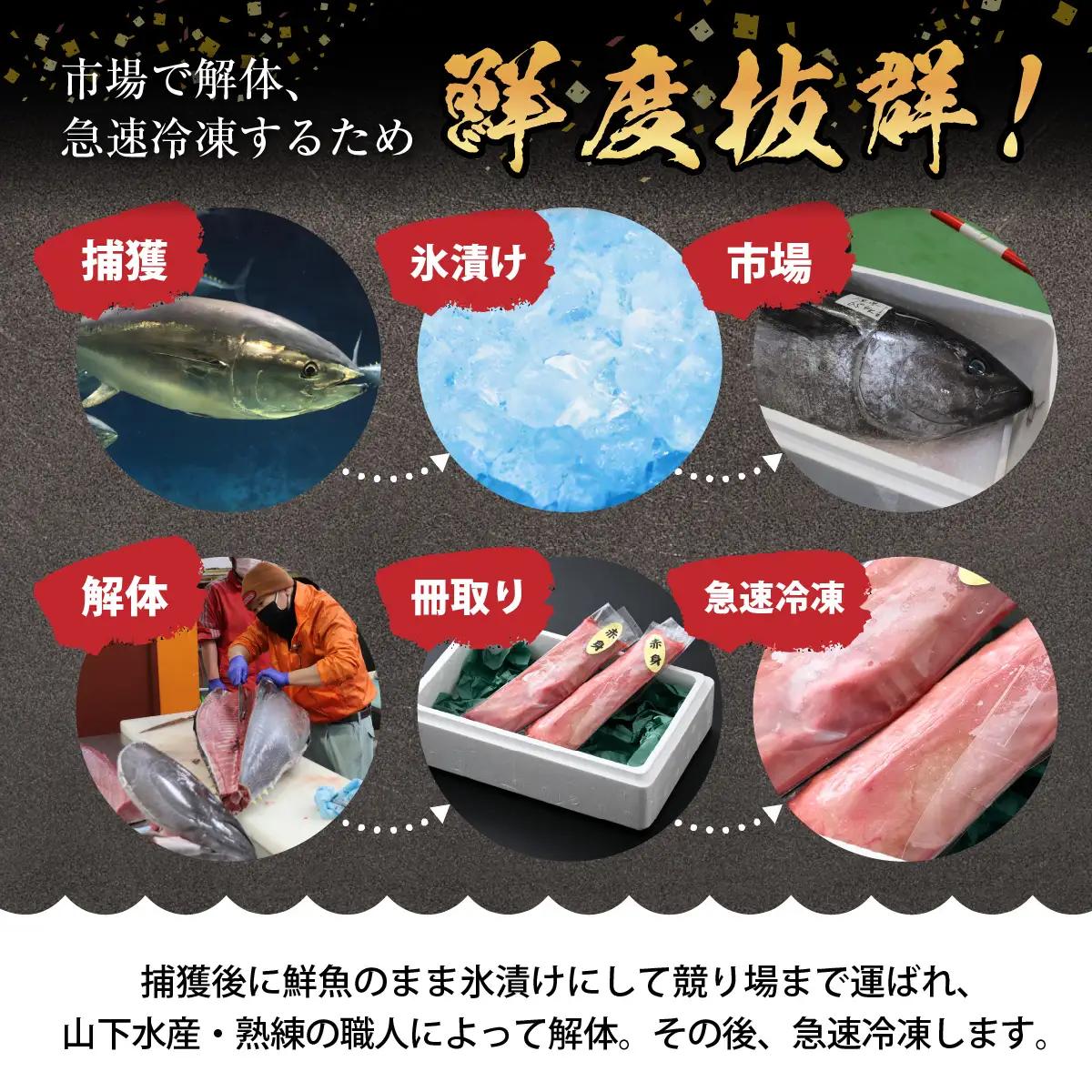 【市場直送】高鮮度急速冷凍 国産本まぐろ 赤身 約100g（柵）×2 [A-065004]