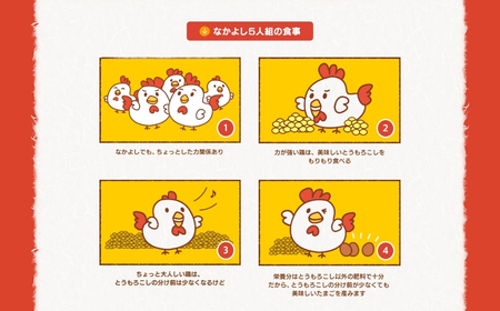希少な2種のたまごセット 50個 3ヶ月定期便 割れ保証付き 卵 たまご 鶏卵 50 お楽しみ 定期便 3回 3か月 3カ月