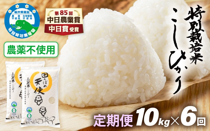 
                  【中日賞受賞】《6ヶ月定期便》農薬不使用こしひかり 10kg（5kg×2袋）×6ヶ月連続 計60kg 特別栽培米コシヒカリ【精米】福井県認証区分1取得「田んぼの天使」越前町【5キロ お米 コメ 農薬化学肥料不使用 送料無料】 [e10-o003]
                