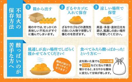 先行予約 不知火 約3kg（7～12玉前後）2026年3月上旬～2026年4月上旬頃発送予定