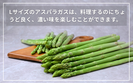 アスパラガス 朝採れ！新鮮！グリーンアスパラ 1kg | アスパラガス アスパラガス アスパラガス アスパラガス アスパラガス