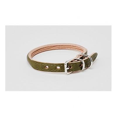 ふるさと納税 姫路市 [53657033]good collar 2号 オリーブ