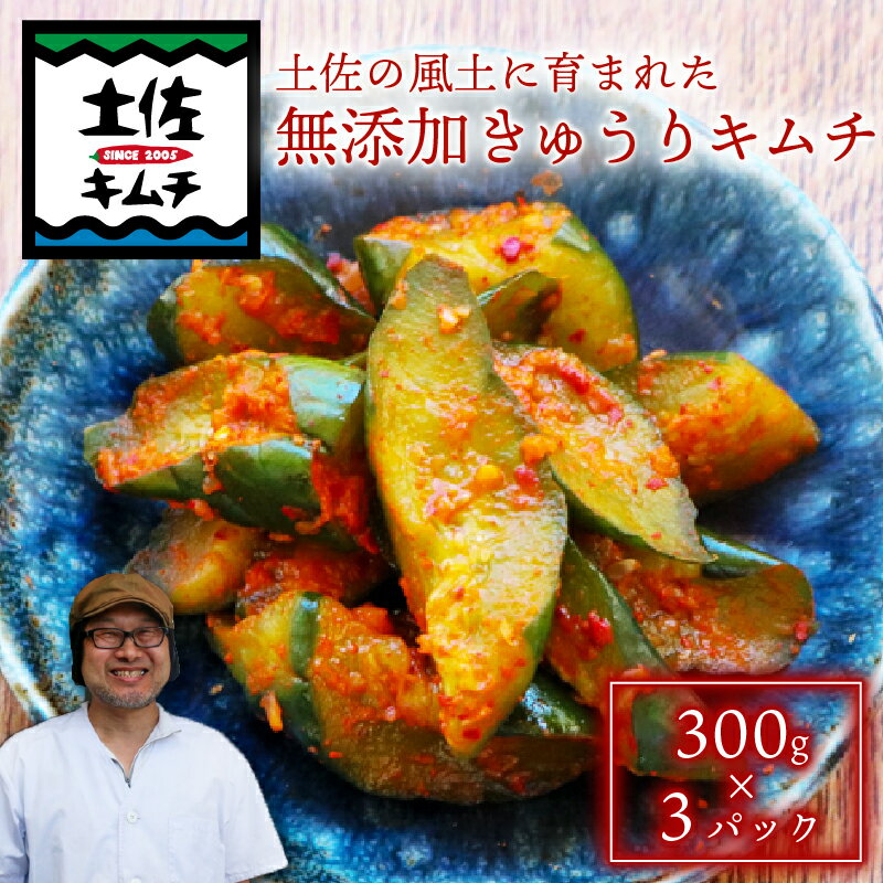 【ふるさと納税】 土佐キムチ きゅうり 300g×3パック 無添加 自然派 パリパリ キムチ 漬物 発酵 きゅうり キムチ 手作り てづくり 韓国 高知県 南国市
