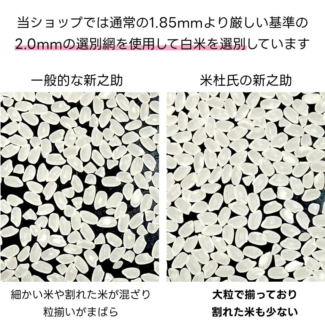 【令和7年産】【6か月定期便】 新潟県 阿賀野市産 新之助 5kg×6回 計 30kg 米杜氏 壱成 白米 精米 大粒 つや 光沢 弾力 芳醇  米 こめ コメ 1H53097