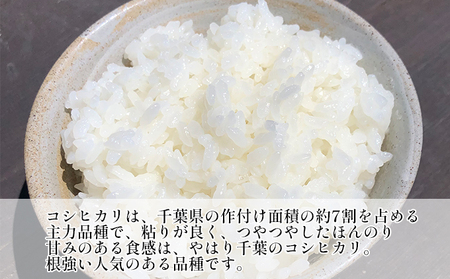 令和6年産　3ヶ月定期便　コシヒカリ　白米　10kg（5kg×2）【定期便 お米 白米 粘り甘み】