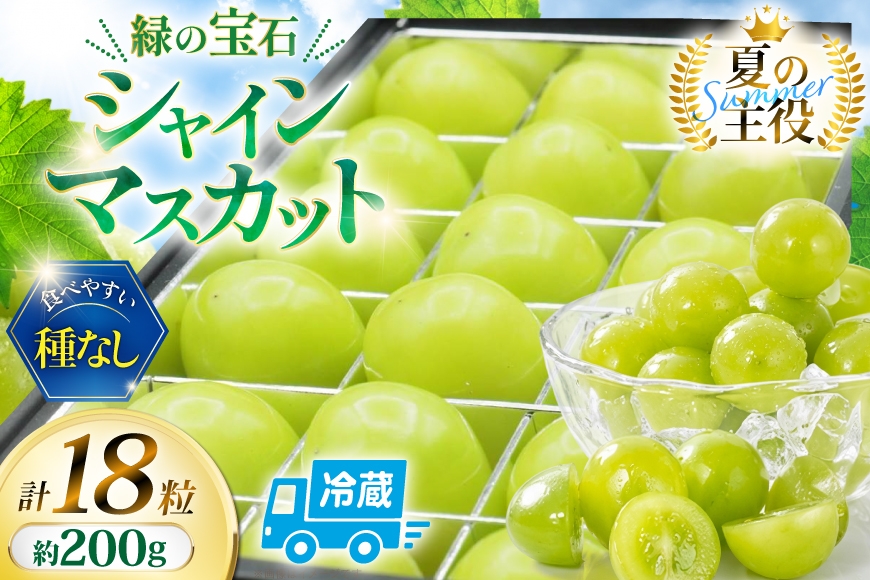 
                  【2026年発送】 シャインマスカット 先行予約 ひと口 BOX 18粒入り 約 200g [REGALO 山梨県 韮崎市 20745496] シャイン マスカット ブドウ ぶどう 葡萄 フルーツ 果物 くだもの  旬 山梨 ギフト 贈り物 フルーツギフト 贅沢 ご褒美 ふるさと納税
                