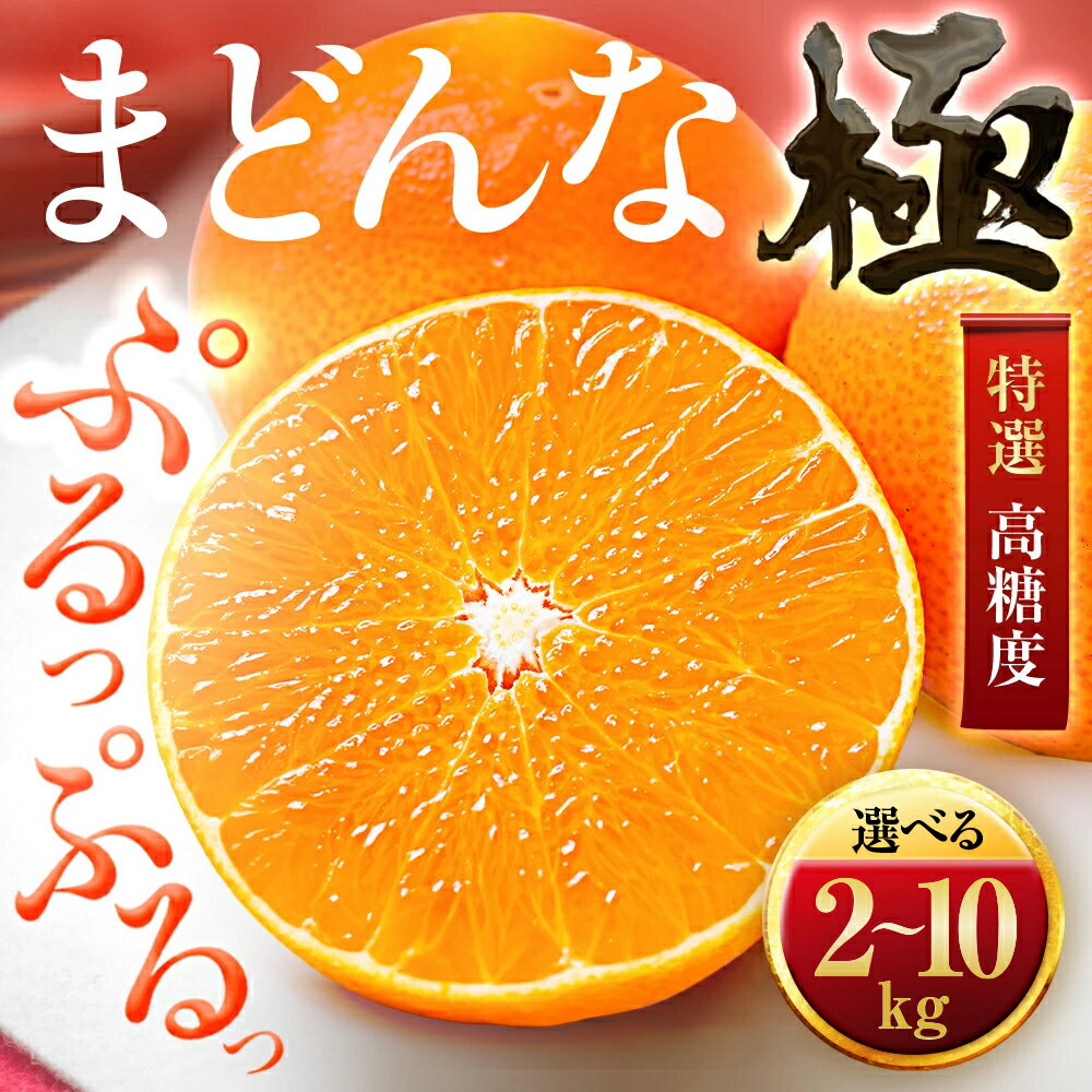 【ふるさと納税】「夕やけブランド」ぷるぷる食感【まどんな】2kg/3kg/5kg/10kg　※紅まどんなと同品種_ みかん 柑橘 まどんな 果物 くだもの フルーツ 人気 おすすめ 送料無料 甘い 濃厚 愛媛県 八幡浜市 【G1416588】 YWTZ014