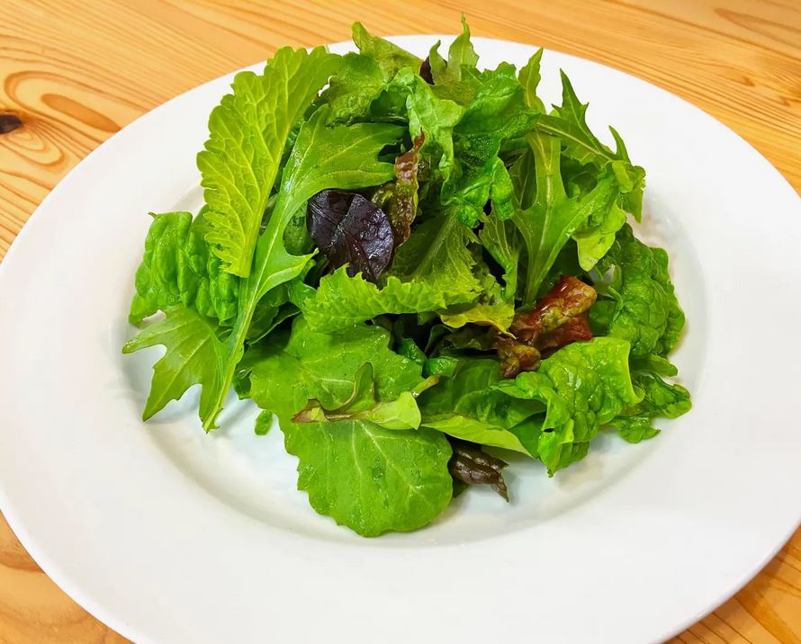 FV016_【12回定期便】【飲食店御用達】有機JAS認証サラダリー