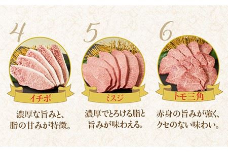 佐賀牛希少部位 おまかせ9種堪能セット1800g 合計1.8kg （9種×200g）吉野ヶ里町/ミートフーズ華松 ブランド牛 熟成 高級 和牛霜降り 艶さし BMS7以上 焼肉 セット [FAY042