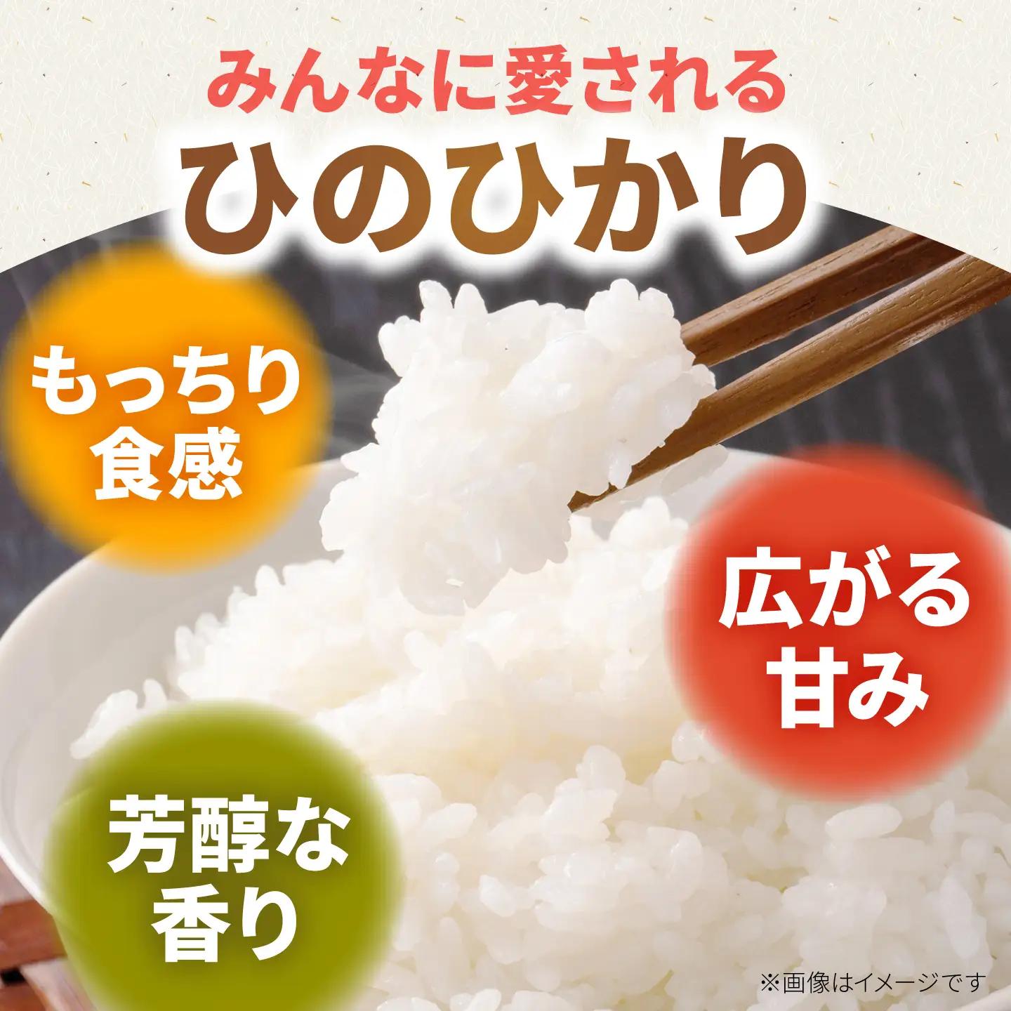 【先行予約 2026年10月～発送】令和8年産 新米 ひのひかり 5kg（白米） / 白米 [IAS010]