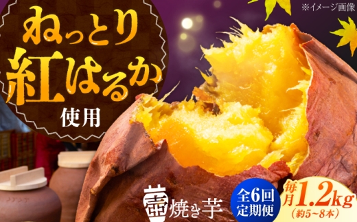 【全6回定期便】ねっとり濃厚！てくてくの壺焼き芋 1.2kg｜焼き芋 さつまいも サツマイモ 紅はるか 安納芋 さつまいもスイーツ 芋スイーツ 和菓子 お菓子 おやつ お取り寄せ ギフト 贈答 贈り物 プレゼント 人気 高品質 おすすめ 手土産 定番 菓子 自宅用 ねっとり 広島県産 冷凍 健康 美容 ダイエット 食物繊維 腸活 リピート 江田島市/峰商事合同会社[XAD049]