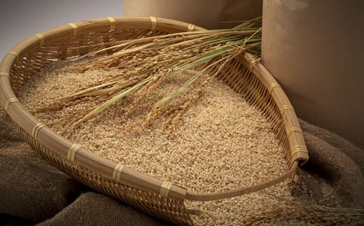 【数量限定】【令和8年6月発送開始定期便】令和7年度産 春摺り 雪中米 ゆめぴりか 玄米 10kg × 3回 計30kg 3か月連続定期便 定期便 定期 米 nr-1400