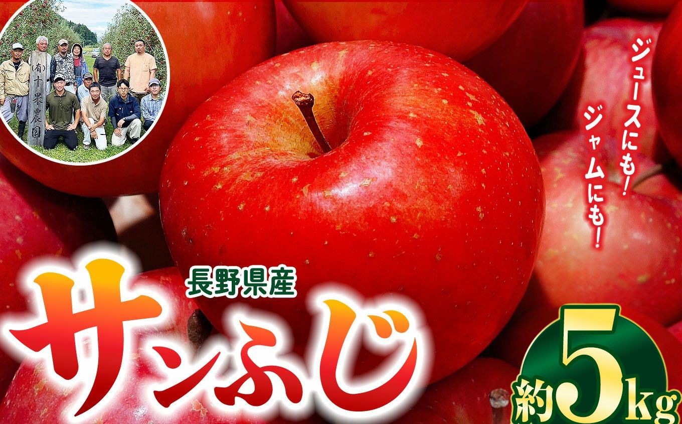 
            サンふじ  5kg(12～25玉)｜ふるさと納税 松本市 サンふじ りんご 林檎 果物 フルーツ 信州 美味しい
          