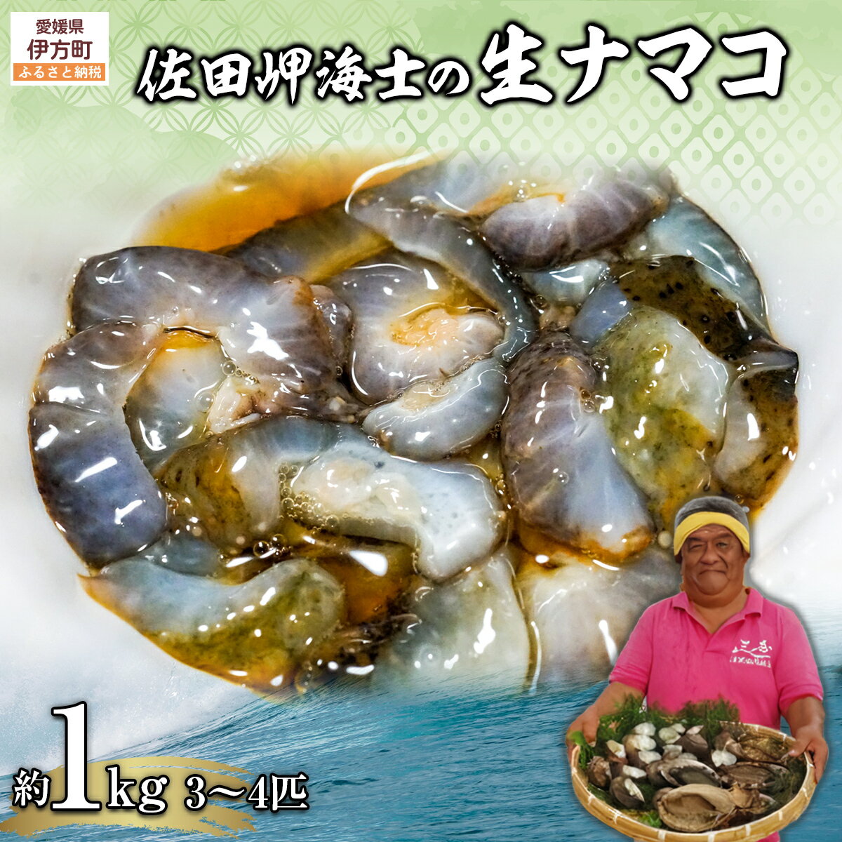 【ふるさと納税】【先行予約】【数量限定】佐田岬海士の生ナマコ 約1kg（3～4匹）※北海道・東北地方・沖縄・離島への配送不可（2026年1月中旬頃より順次発送） 【人気 おすすめ ナマコ なまこ 生なまこ 赤ナマコ 産地直送 海鮮 新鮮 愛媛県 伊方町 送料無料】 IKTJ013