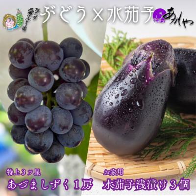 ふるさと納税 岸和田市 大阪産夏一番ぶどうあづましずく1房と泉州水なすぬか漬け3個 計2kg
